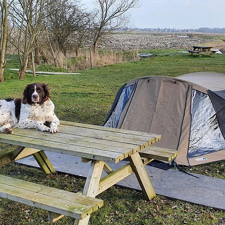 Basic 2P Tent Sotterum Hotel Kornwerd Exterior foto