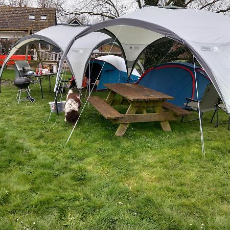 Basic 2P Tent Sotterum Hotel Kornwerd Exterior foto