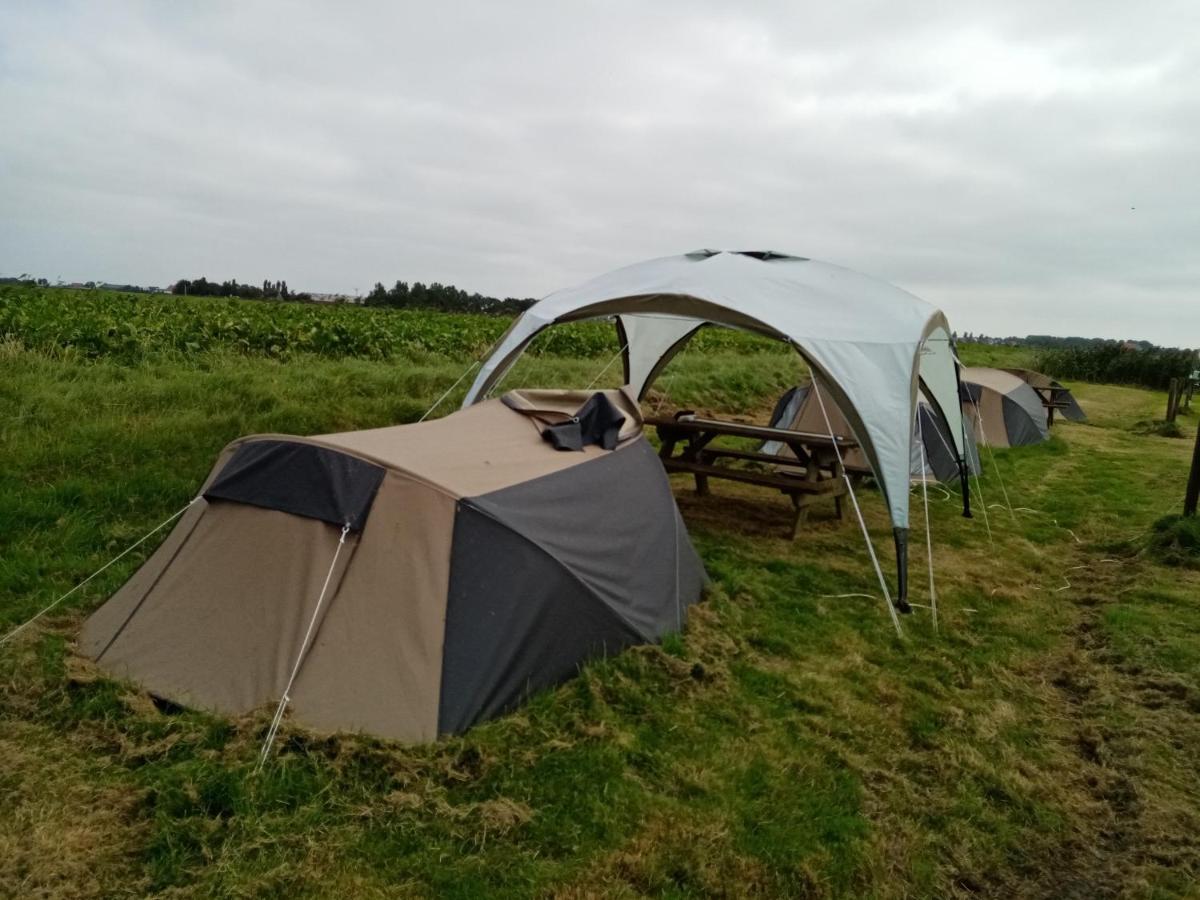 Basic 2P Tent Sotterum Hotel Kornwerd Exterior foto